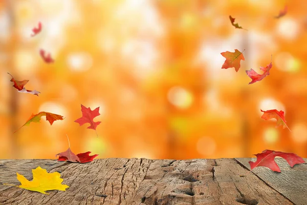 Herbst Ahornblätter Liegen Auf Einem Holztisch Mit Einem Wald Aus — Stockfoto