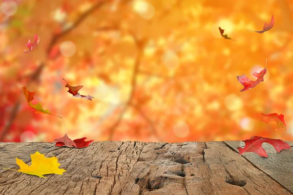 Herbst Ahornblätter Liegen Auf Einem Holztisch Mit Einem Wald Aus — Stockfoto