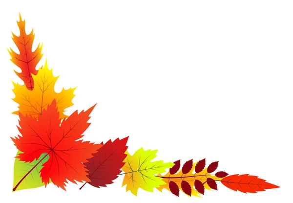 Herbst Hintergrund Für Text Vektorillustration — Stockfoto