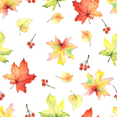 Sonbahar yapraklı suluboya desenli, kızılcık üzümü. Arka planda kal. Turuncu, sarı, kırmızı, yeşil, pembe yapraklar. Duvar kağıdı, tekstil, hediye kağıdı, ambalaj