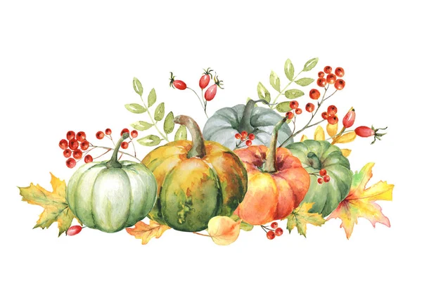 パンプキン 秋の葉 赤い果実との水彩画の秋の配列 白地に隔絶 — ストック写真