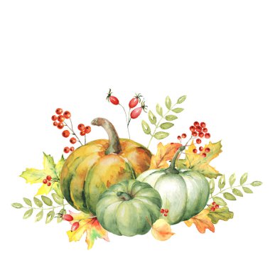 Balkabaklarıyla sonbahar suluboya kompozisyonu, sonbahar yaprakları, Rowan meyveleri, beyaz arka planda izole edilmiş. Rustik Kart El Boyalı Sonbahar İllüstrasyonu, Şükran Günü, Tasarım.