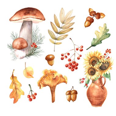Yapraklar, ayçiçekleri, böğürtlenler, mantarlar, meşe palamutları ile suluboya seti. Tasarım, satış ve şükran günü için sonbahar illüstrasyonu.