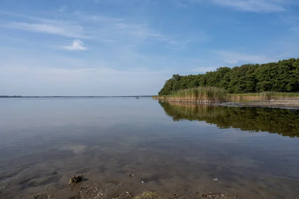 가장 최근의 여름중 하나인 호수의 아름다운 풍경. 사진 : Ringsjon, Scania, 남부 스웨덴 — 스톡 사진