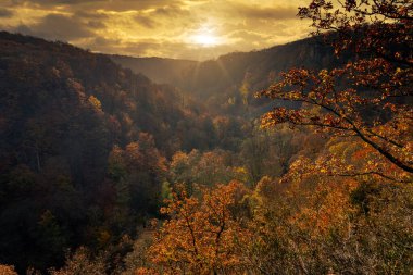 A beautiful view of colourful autumn forest in a canyon. Picture from a National park in Scania, southern Sweden clipart