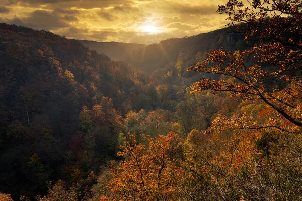 Una splendida vista della colorata foresta autunnale in un canyon. Immagine da un parco nazionale in Scania, Svezia meridionale — Foto Stock