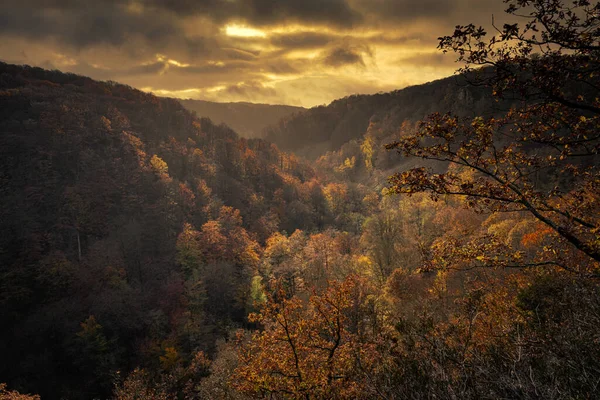 渓谷のカラフルな秋の森の美しい景色。スウェーデン南部のスカニアの国立公園からの写真 — ストック写真
