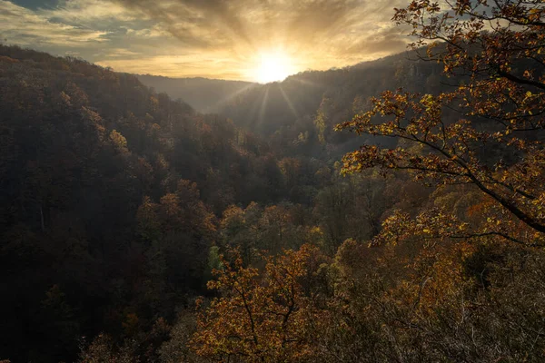 Uma bela vista da floresta de outono colorida em um desfiladeiro. Imagem de um parque nacional em Scania, sul da Suécia — Fotografia de Stock