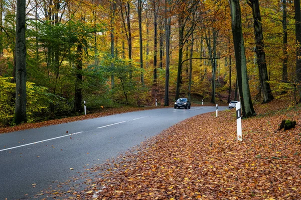 Una hermosa vista del colorido bosque otoñal. Foto de un parque nacional en Scania, sur de Suecia — Foto de Stock