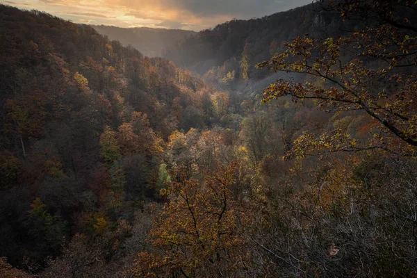 渓谷のカラフルな秋の森の美しい景色。スウェーデン南部のスカニアの国立公園からの写真 — ストック写真