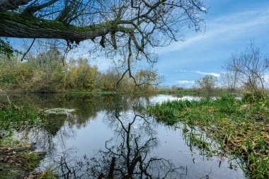 Arka planda mavi gökyüzü olan bir nehirde yansımalar. Fotoğraf İsveç 'in güneyindeki İskandinav ilçesinden..