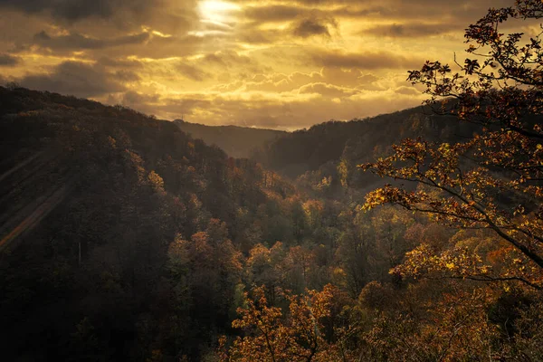 Una hermosa vista de un colorido bosque otoñal en un cañón. Foto de un parque nacional en Scania, sur de Suecia —  Fotos de Stock
