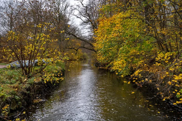 Ένα ποτάμι που επιπλέει σε ένα πολύχρωμο φθινοπωρινό δάσος. Φωτογραφία από την κομητεία Scania, νότια Σουηδία. — Φωτογραφία Αρχείου