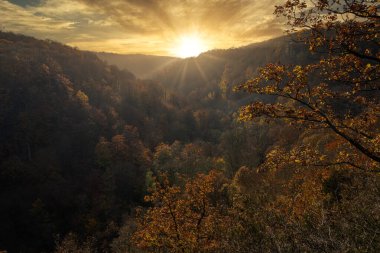 Kanyondaki renkli bir sonbahar ormanının güzel bir manzarası. Fotoğraf İsveç 'in güneyindeki Scania' daki bir milli parktan.