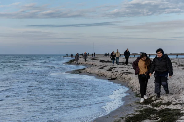 사람들은 바다표범 서식지를 보기 위해 자연 보호 구역을 하이킹하고 있다. 사진 : Falsterbo from Scania, Sweden — 스톡 사진