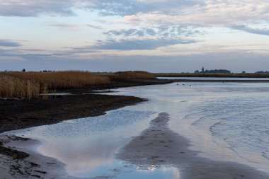 Güzel bir doğa koruma alanında kumlu bir kıyı şeridi. Fotoğraf İsveç, İskandinav Falsterbo 'dan.