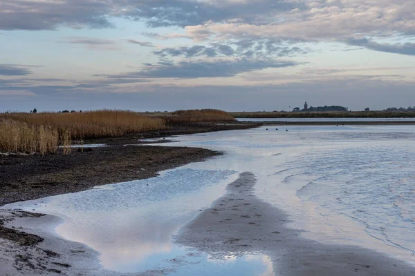 Een zandkust bij een prachtig natuurgebied. Foto van Falsterbo in Scania, Zweden — Stockfoto