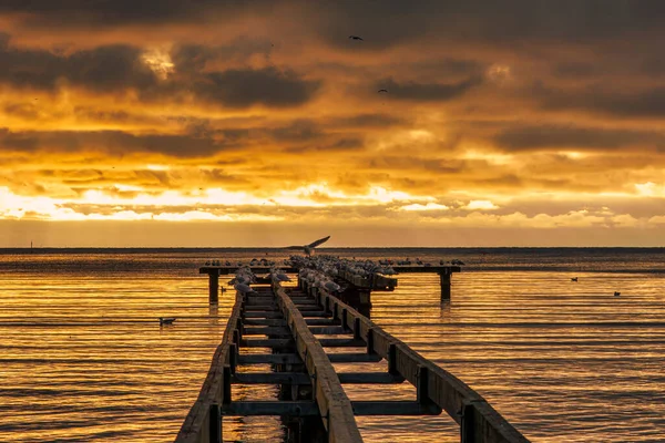 Um lindo pôr-do-sol dourado sobre um velho calçadão. Foto de Hallevik, Blekinge, Suécia — Fotografia de Stock