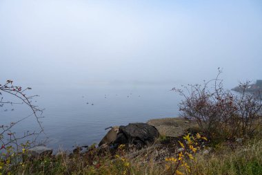 Limanda sisli bir gün. Arka planda mavi su ve sis olan siyah bir taş.