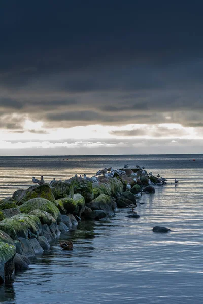 Um belo pôr-do-sol sobre as rochas verdes num quebra-ondas. Foto de Hallevik, Blekinge, Suécia — Fotografia de Stock