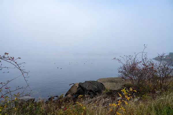 Ein nebliger Tag im Hafen. Schwarzer Stein mit blauem Wasser und Nebel im Hintergrund — Stockfoto