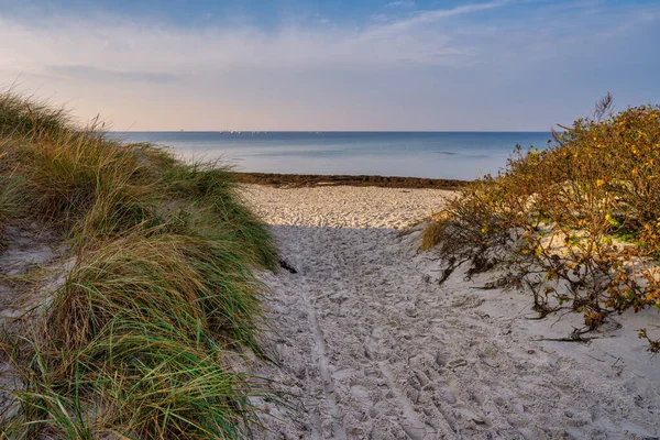 Ślady stóp na piaszczystej plaży. Zdjęcie z Lomma Beach, Scania, Szwecja — Zdjęcie stockowe