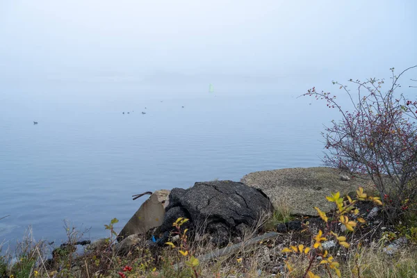 Um dia nebuloso no porto. Pedra preta com água azul e nevoeiro no fundo — Fotografia de Stock