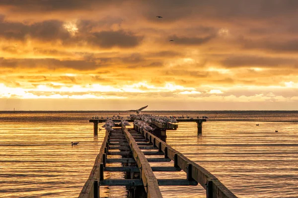 Um lindo pôr-do-sol dourado sobre um velho calçadão. Foto de Hallevik, Blekinge, Suécia — Fotografia de Stock