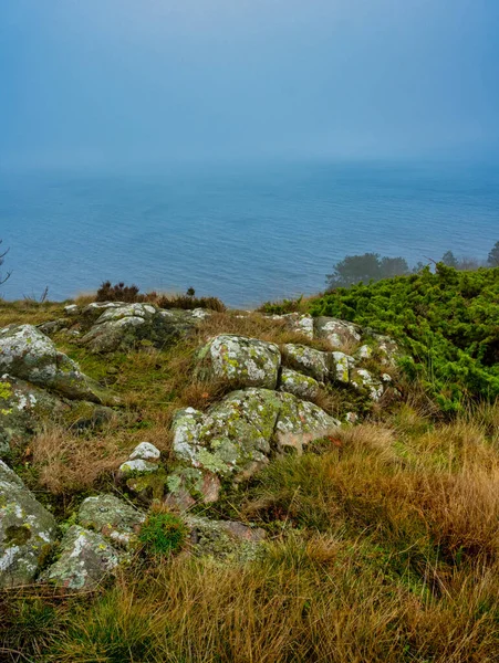 Widok na ocean ze stromego wzgórza w mglisty dzień. Żółta trawa i kamienie na pierwszym planie. Zdjęcie z rezerwatu przyrody Kullen, Scania, Szwecja — Zdjęcie stockowe