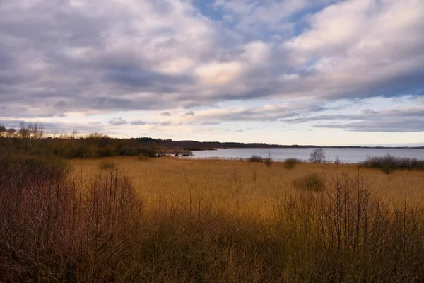 Sazlıklarla dolu bir bataklık manzarası. Arka planda bir göl. Fotoğraf: Lund, İsveç — Stok fotoğraf