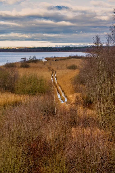 갈대로 가득 찬 늪지대의 전경. 뒤에 호수가 있다. From Lund, Sweden — 스톡 사진