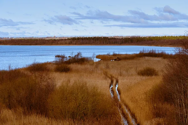 Una vista de un pantano lleno de juncos. Un lago al fondo. Foto de Lund, Suecia — Foto de Stock