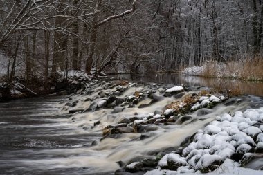 Karlı bir kış ormanında nehir akıntısı. Resim Ronne Nehri, İskandinav, İsveç