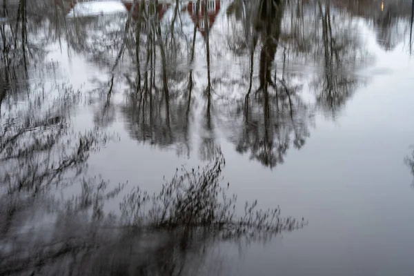 Riflessi d'acqua di alberi in un fiume. Immagine da Eslov, Svezia — Foto Stock