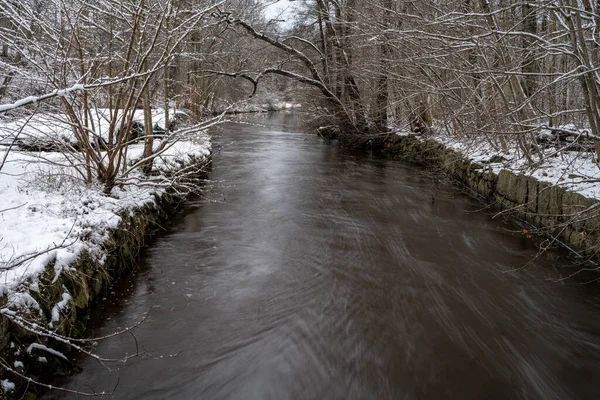 눈내리는 겨울 숲 속을 떠다니는 강. 스웨덴의스 칸니아, 론 강을 상상 해 보라 — 스톡 사진