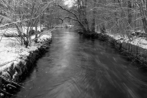 En flod som flyter genom en snöig vinterskog. Bild Ronne älv, Skåne, Sverige — Stockfoto