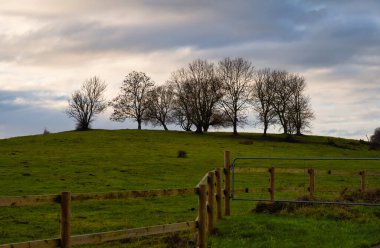 Arka planda muhteşem bir günbatımı gökyüzü olan çayırdaki ağaçlar. Fotoğraf: Lund, İsveç