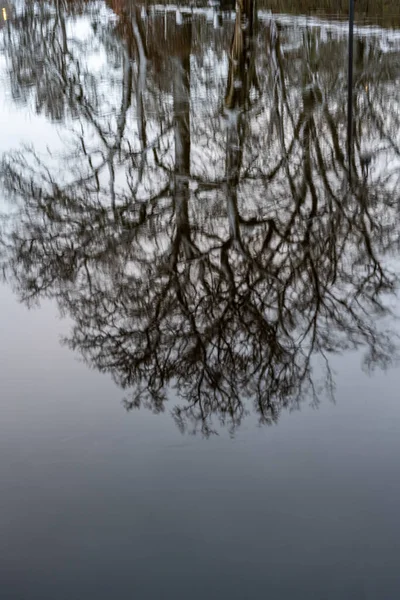 Riflessi d'acqua di alberi in un fiume. Immagine da Eslov, Svezia — Foto Stock