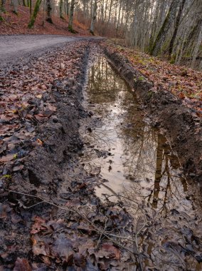 Çamurlu bir su birikintisinde, yerde güzel kızıl orman yaprakları olan bir yansıma. Fotoğraf: Lund, İsveç