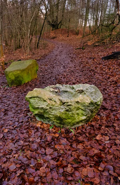 Великий білий камінь з прекрасним червоним листям на землі. Фото з Лунда (Швеція) — стокове фото