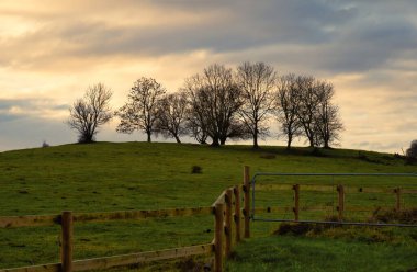 Arka planda muhteşem bir günbatımı gökyüzü olan çayırdaki ağaçlar. Fotoğraf: Lund, İsveç
