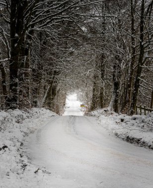 Ormandan geçen buzlu ve karlı bir kış yolu. Fotoğraf: İskandinav, İsveç