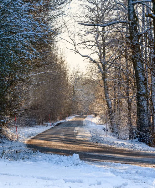 춥고 눈이 많이 오는 겨울 도로가 숲을 지나고 있습니다. 스웨덴의에 슬 로프에서 찍은 사진 — 스톡 사진