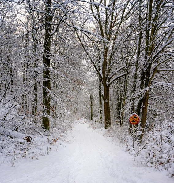 En isig och snöig vinterväg som går genom en skog. Bild från Skåne, Sverige — Stockfoto