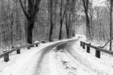 Ormandan geçen buzlu ve karlı bir kış yolunun siyah beyaz fotoğrafı. Fotoğraf: Eslov, İsveç