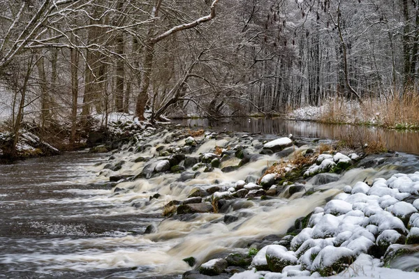 Rápidos fluviales en un bosque invernal nevado. Imagen Río Ronne, Scania, Suecia — Foto de Stock