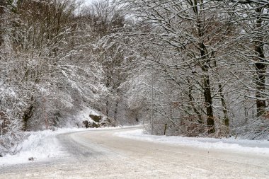 Ormandan geçen buzlu ve karlı bir kış yolu. Fotoğraf: İskandinav, İsveç