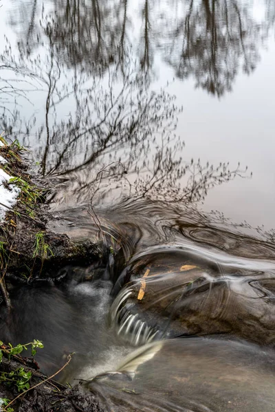 강에 있는 나무들은 물의 반사 작용을 한다. 스웨덴의에 슬 로프에서 찍은 사진 — 스톡 사진