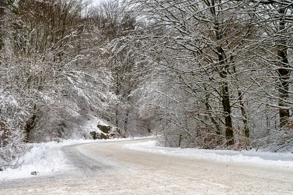 Ένας παγωμένος και χιονισμένος χειμωνιάτικος δρόμος περνάει μέσα από ένα δάσος. Φωτογραφία από Scania, Σουηδία — Φωτογραφία Αρχείου