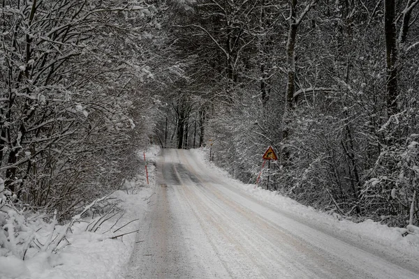 Ένας παγωμένος και χιονισμένος χειμωνιάτικος δρόμος περνάει μέσα από ένα δάσος. Φωτογραφία από Scania, Σουηδία — Φωτογραφία Αρχείου